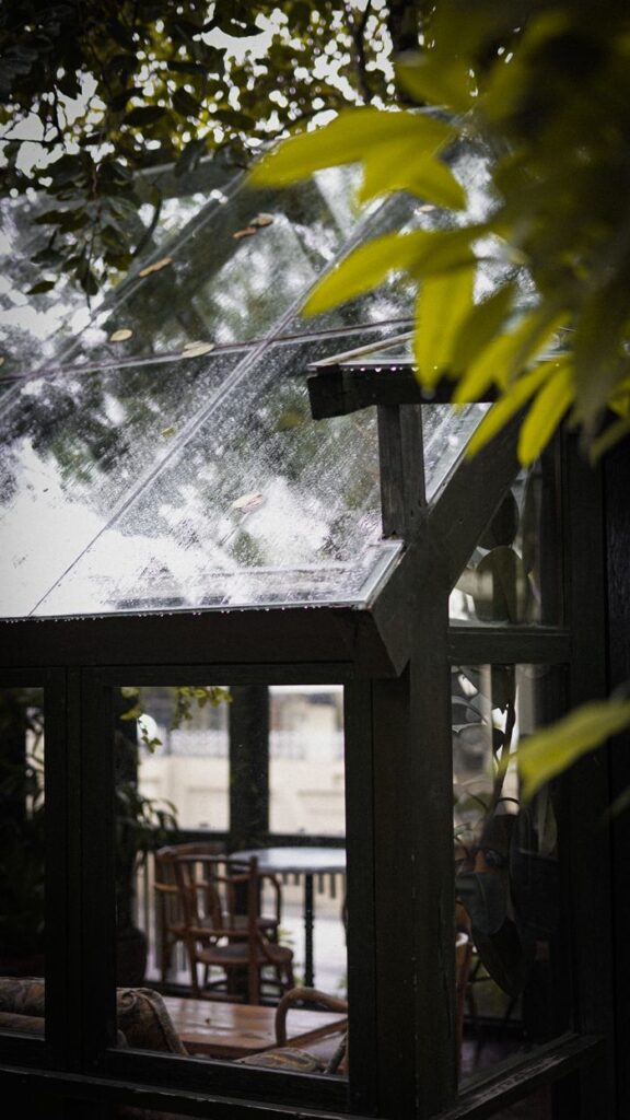 Relaxing garden shed with glass roof amidst lush green trees, perfect for leisure on a rainy day.